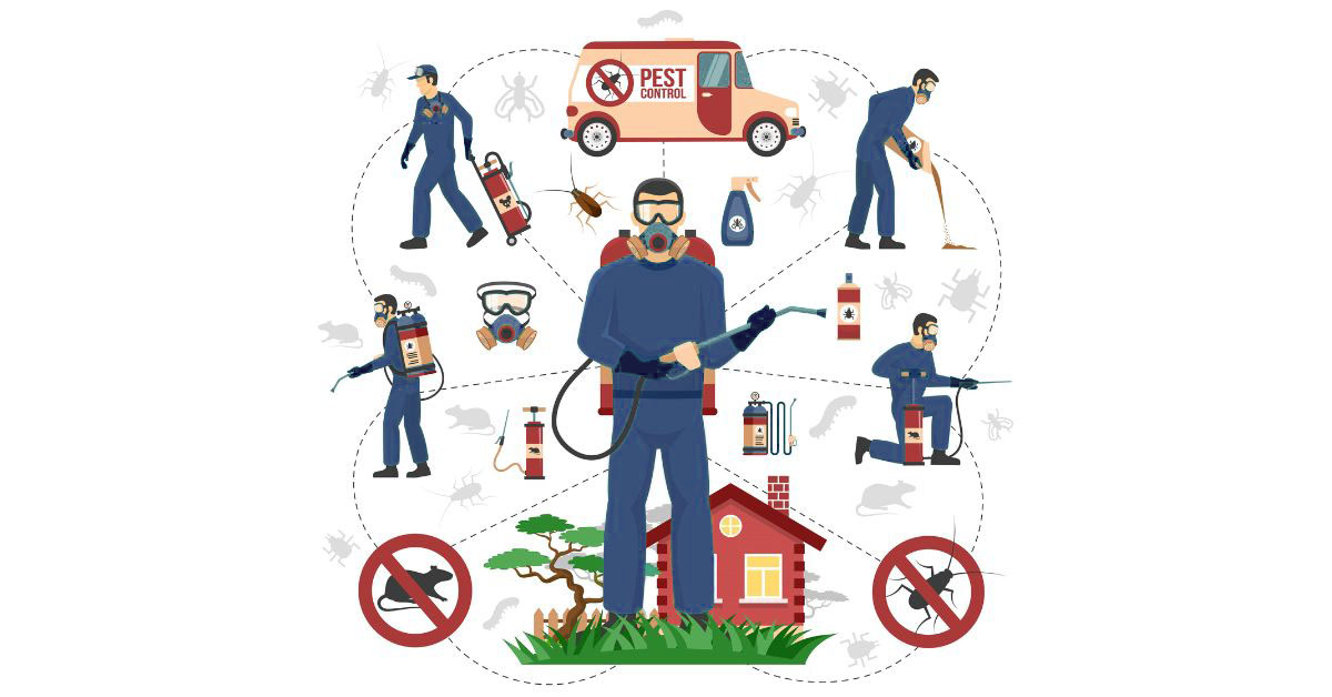 DIY Pest Control vs Professional Pest Control Why you should call the